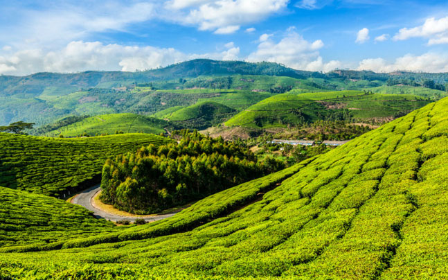 kerala Tour Packages